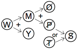 LSAT PrepTest 70, Game 2, Question 12, Diagram 1