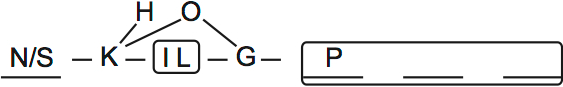 LSAT PrepTest 29, Game 4, Question 24, Diagram 2