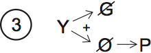 LSAT Preptest 62, Game 2 Diagram 4