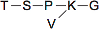 LSAT Preptest 74, Game 1 Setup, Diagram 5