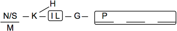 LSAT PrepTest 29, Game 4, Question 24, Diagram 1