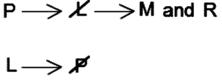 LSAT Preptest 20, Game 2 Setup, Diagram 3 LSAT Preptest 20, Game 2 Setup, Diagram 3