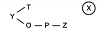 LSAT Preptest 20, Game 4 Diagram 5