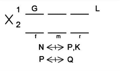 LSAT Preptest 22, Game 4, Question 23, Diagram 15