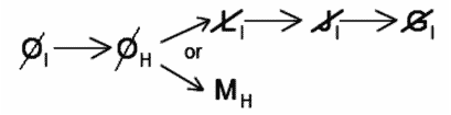 LSAT Preptest 23, Game 2, Question 11, Diagram 13