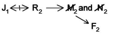 LSAT Preptest 23, Game 3 Diagram 10