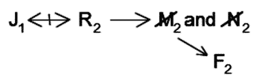 LSAT Preptest 23, Game 3, Question 14, Diagram 13