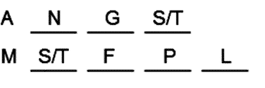 LSAT Preptest 24, Game 1 Setup, Diagram 3
