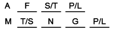 LSAT Preptest 24, Game 1 Setup, Diagram 4