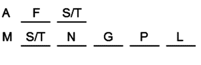 LSAT Preptest 24, Game 1, Question 4, Diagram 10