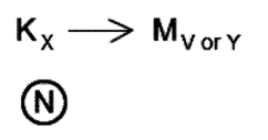 LSAT Preptest 25, Game 2 Setup, Diagram 3