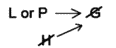 LSAT Preptest 28, Game 2 Setup, Diagram 3 LSAT Preptest 28, Game 2 Setup, Diagram 3