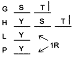 LSAT Preptest 28, Game 2, Question 10, Diagram 13