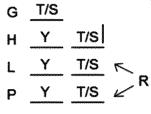 LSAT Preptest 28, Game 2, Question 12, Diagram 16