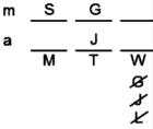LSAT Preptest 28, Game 3, Question 17, Diagram 11